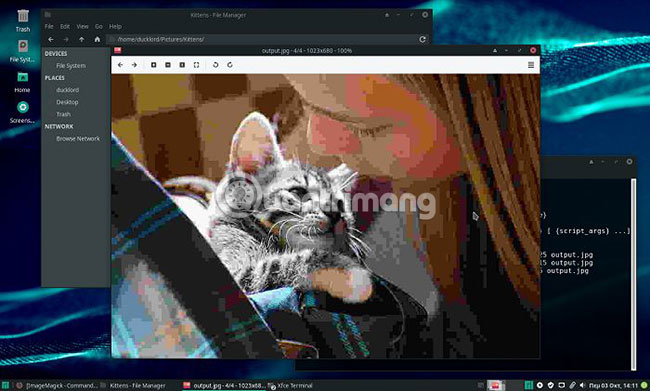 How to compress and resize photos from Thunar File Manager in Linux Picture 4