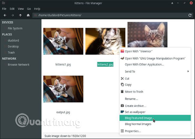 How to compress and resize photos from Thunar File Manager in Linux Picture 7