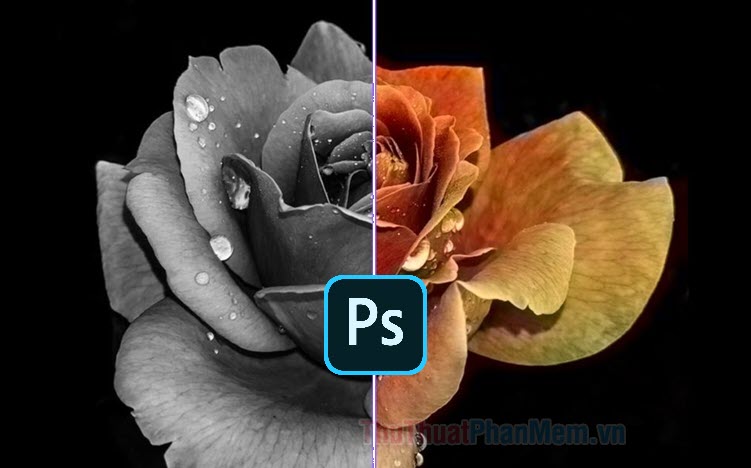 how-to-convert-a-color-image-to-black-and-white-using-photoshop