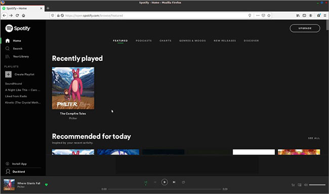 How to convert a web application to a desktop application on Peppermint Linux Picture 2