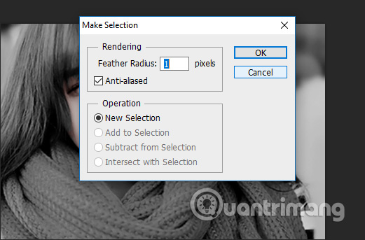 How to convert black and white images into color images in Photoshop Picture 10