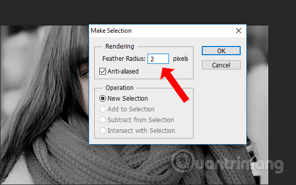 How to convert black and white images into color images in Photoshop Picture 14