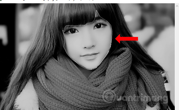 How to convert black and white images into color images in Photoshop Picture 2