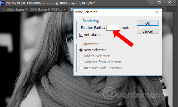 How to convert black and white images into color images in Photoshop Picture 4