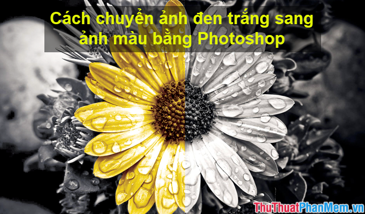 How to convert black and white photos to color photos using Photoshop Picture 1