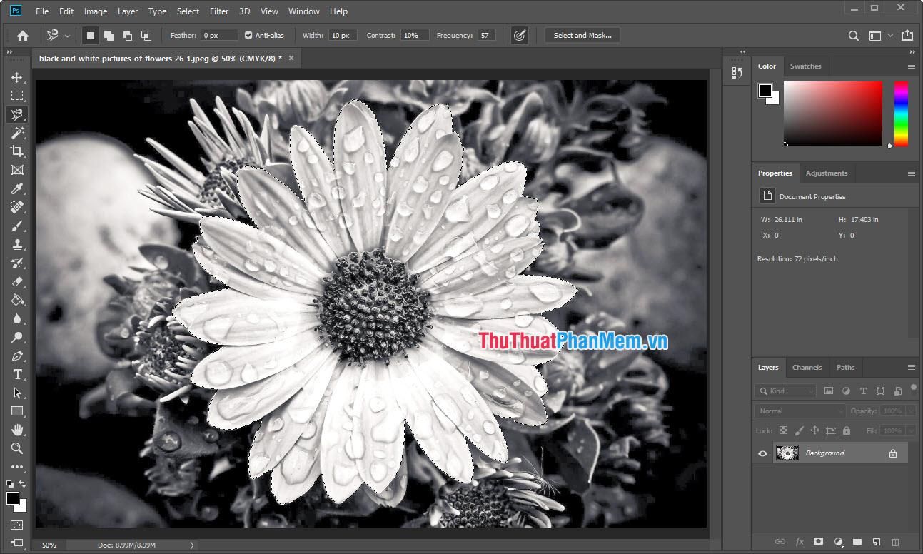 How to convert black and white photos to color photos using Photoshop Picture 6