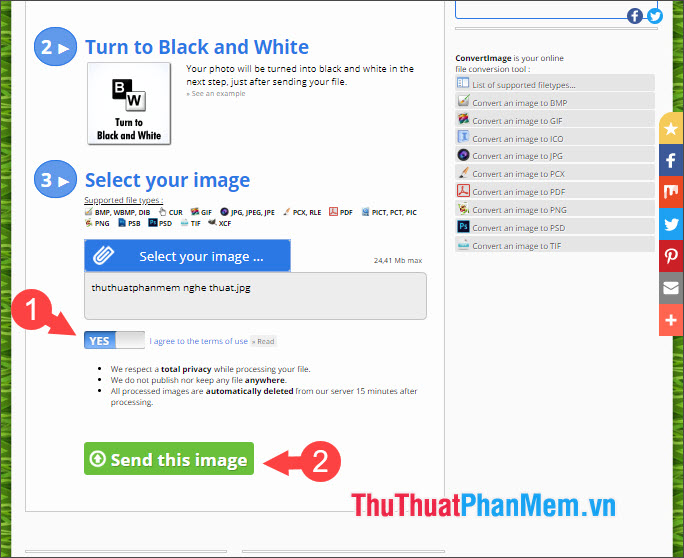 How to convert color photos to black and white online Picture 12