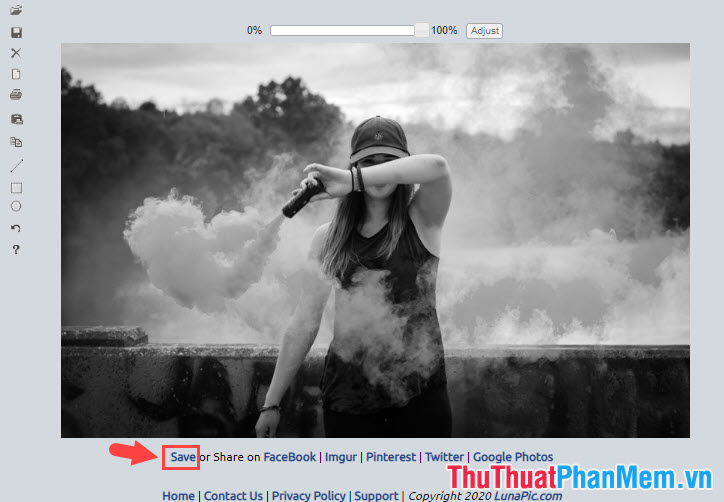 How to convert color photos to black and white online Picture 9