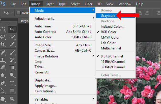 How to convert color photos to black and white Photoshop Picture 11