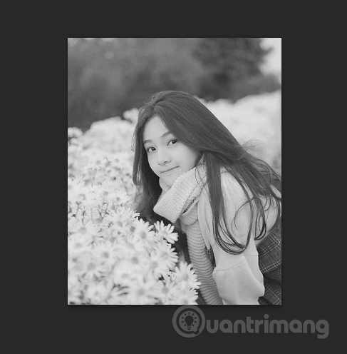 How to convert color photos to black and white Photoshop Picture 6