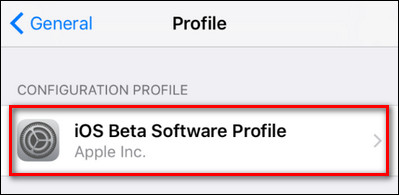 How to 'convert' from the iOS Public Beta version to the old version Picture 4