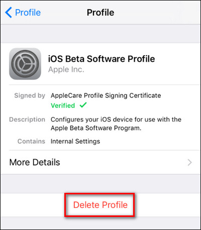How to 'convert' from the iOS Public Beta version to the old version Picture 5