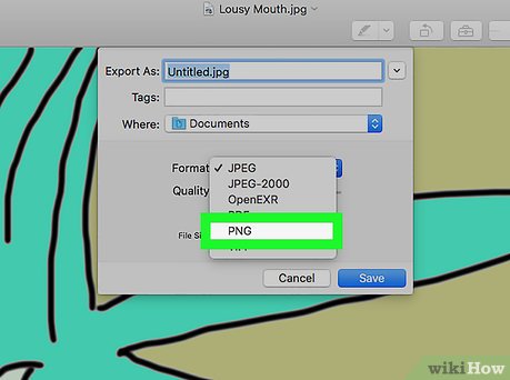 Picture 19 of How to Convert JPG to PNG