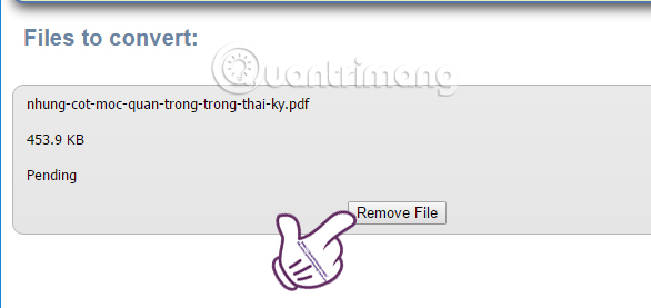 How to convert PDF files to doc or docx files with Zamzar online Picture 3