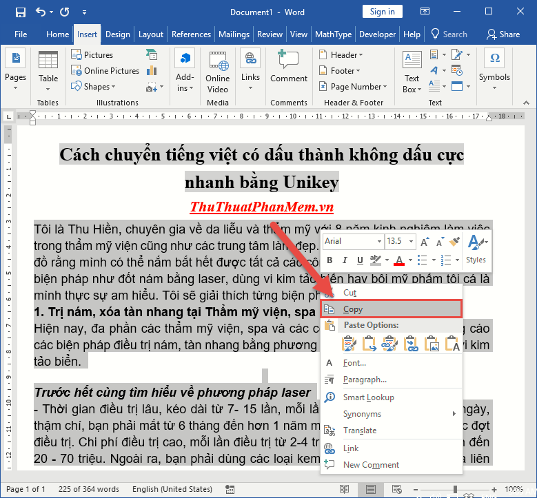 How to convert Vietnamese accented into unsigned very fast like Unikey Picture 2