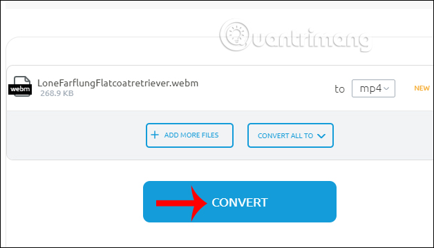 How to convert webm to mp4 Picture 5