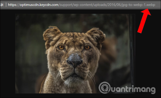 How to convert WebP image to PNG, JPG on Chrome, Coc Coc Picture 4