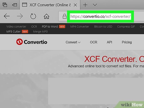 How to Convert XCF to JPG Picture 10