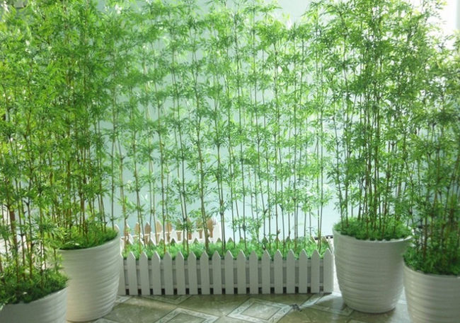 How to cool your home, cool your body during a hot summer day Picture 11