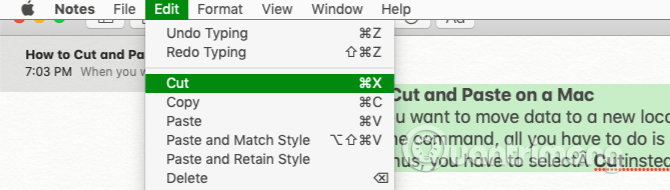 Picture 5 of How to copy and paste on Mac