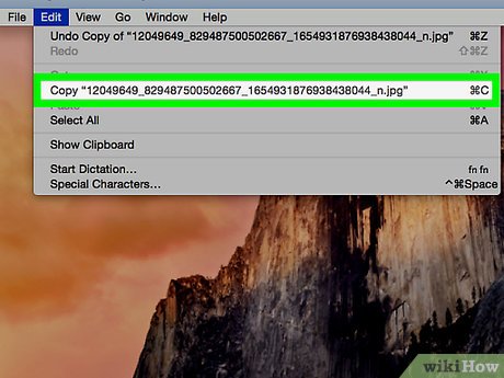 Picture 8 of How to Copy and Paste Pictures