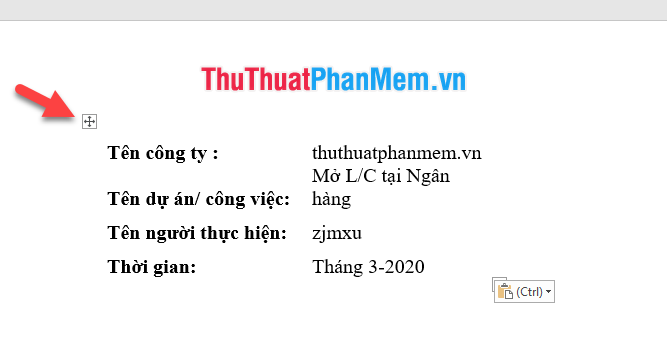 How to copy from Excel to Word without frames Picture 6