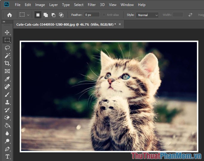 Tạo khung ảnh cực kỳ đơn giản với Photoshop để trang trí cho những bức ảnh yêu thích của bạn. Hình ảnh này sẽ giới thiệu cho bạn những bước cơ bản để tạo ra một khung ảnh độc đáo và thu hút. Bây giờ, hãy để tài năng của bạn được thể hiện phát huy hơn với sự giúp đỡ của Photoshop.