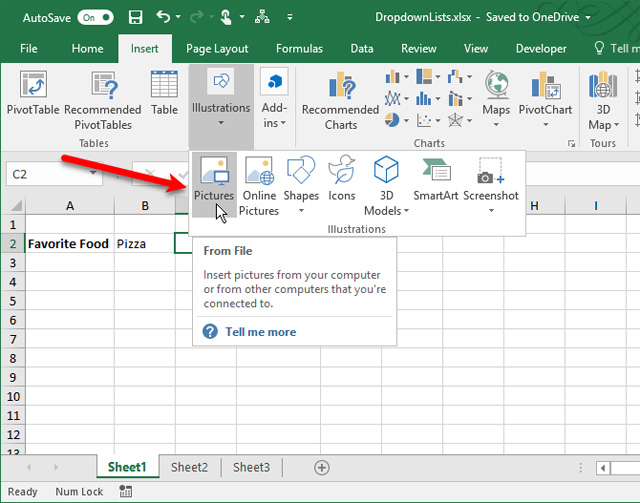 How to create a drop list in Excel 2016 Picture 17