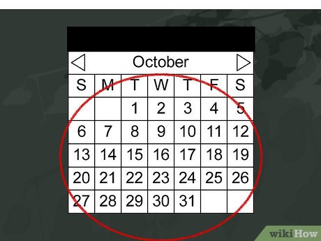 How to Create a Personal Blog Picture 10