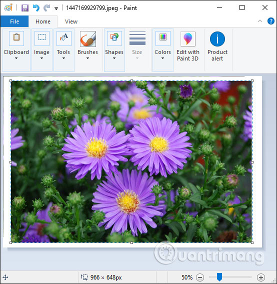 How to create a photo frame on Paint Picture 4