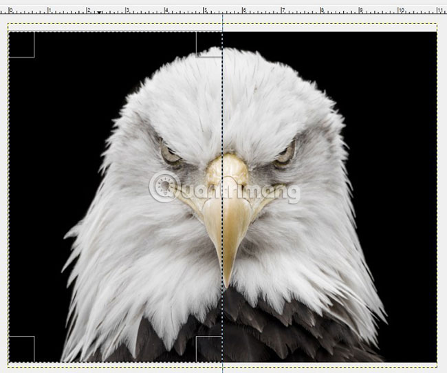 How to create a poster with the Text Portrait effect in GIMP Picture 10