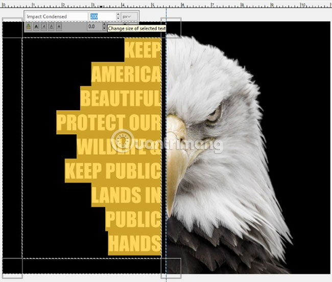 How to create a poster with the Text Portrait effect in GIMP Picture 14