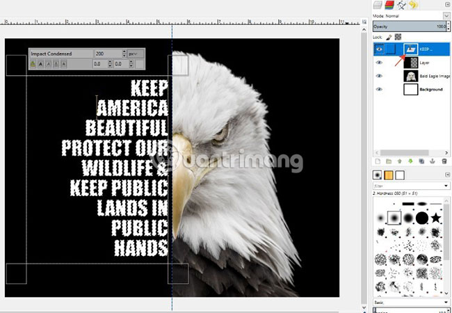 How to create a poster with the Text Portrait effect in GIMP Picture 16