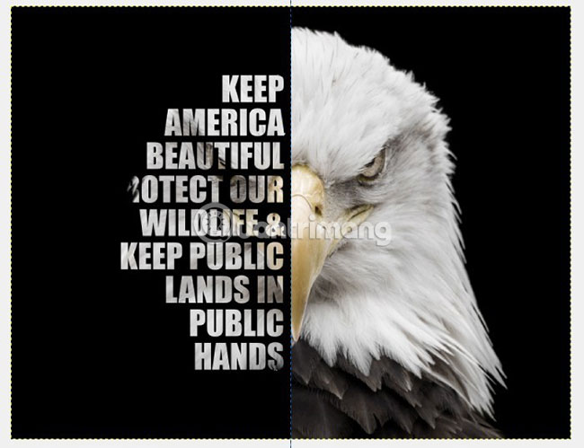 How to create a poster with the Text Portrait effect in GIMP Picture 18