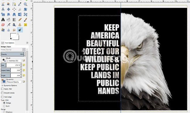 How to create a poster with the Text Portrait effect in GIMP Picture 19