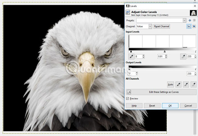How to create a poster with the Text Portrait effect in GIMP Picture 6
