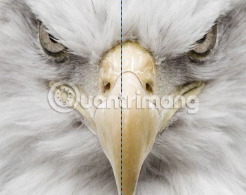 How to create a poster with the Text Portrait effect in GIMP Picture 9