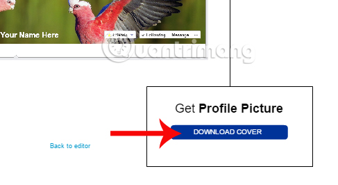 How to create an avatar image and Facebook cover photo match Picture 7