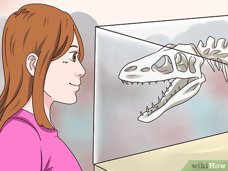 How to Create an Unschooling High School Transcript Picture 15