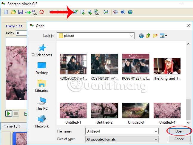 How to create animations with Beneton Movie GIF Picture 7