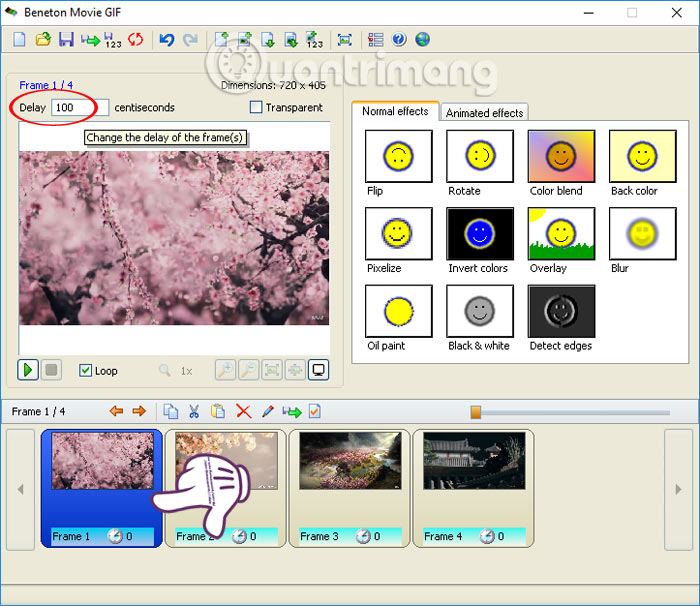 How to create animations with Beneton Movie GIF Picture 8
