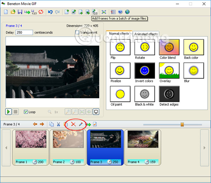 How to create animations with Beneton Movie GIF Picture 9