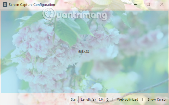 How to create animations with Instagiffer on computer Picture 6