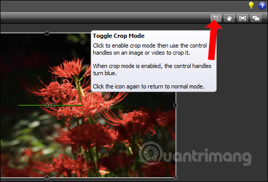 How to create flip mirror effect in videos with Camtasia Picture 7
