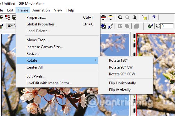 How to create GIF images on GIF Movie Gear Picture 3
