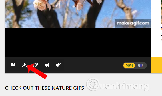 How to create online animations by Makeagif Picture 11