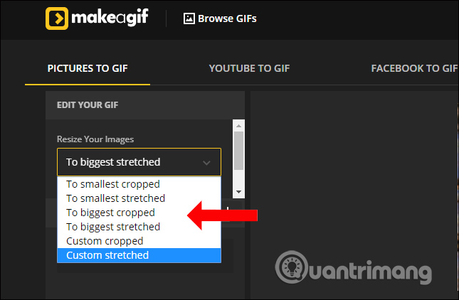 How to create online animations by Makeagif Picture 5
