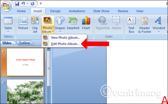 How to create PowerPoint photo album with effects Picture 6