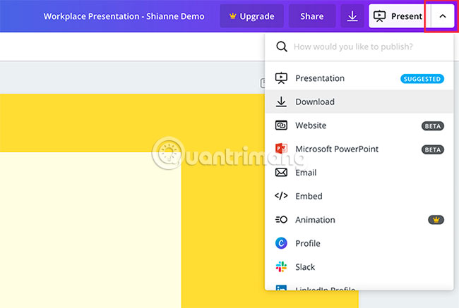 How to create professional presentations in Canva Picture 16