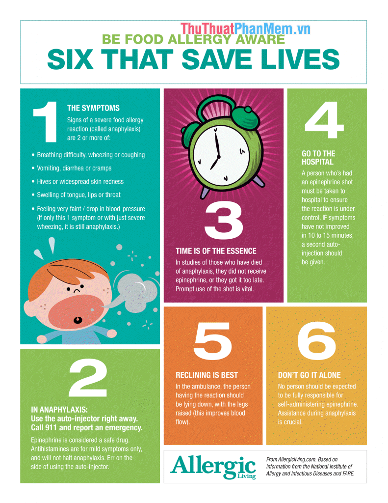 How to create the most beautiful and creative infographic Picture 3